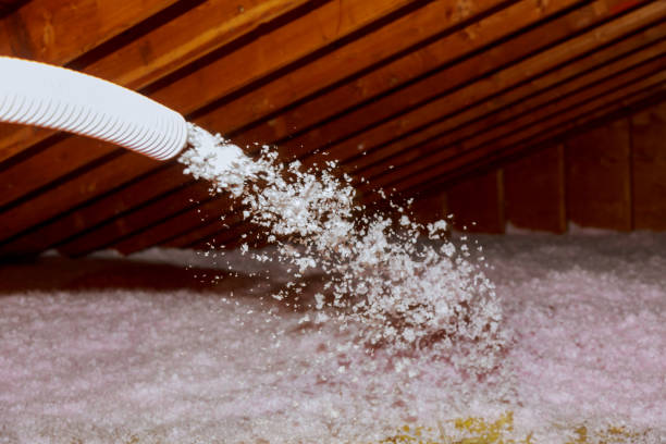 Best Eco-Friendly Insulation in Jackson, KY